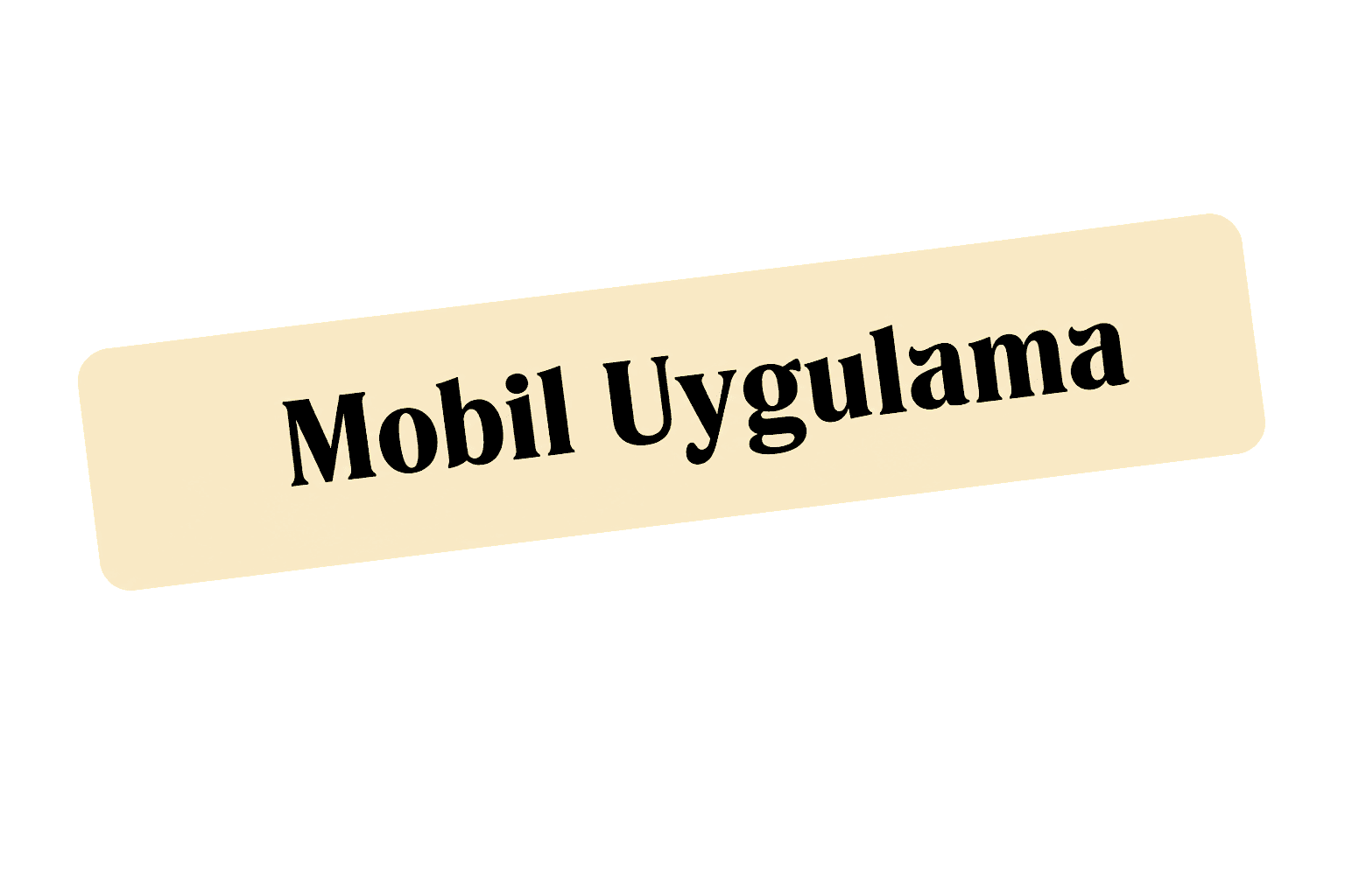 Mobile App Developer